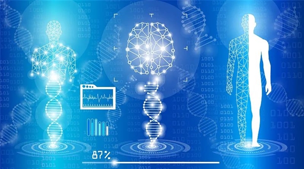 阳普医疗涨060%成交额409515万元今日主力净流入16580万