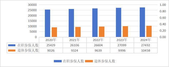 2024年全国医疗保障事业发展统计公报