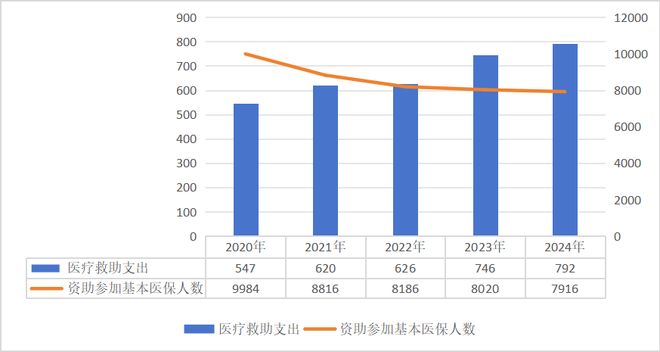 2024年全国医疗保障事业发展统计公报(图9)