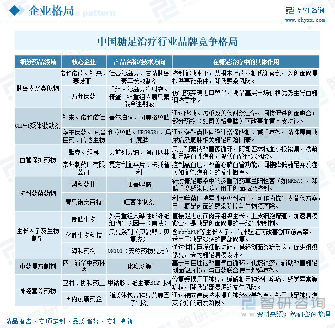 2025年中国糖足治疗行发展历程、产业链图谱、市场规模、竞争格局及发展趋势研判：糖足患者人数持续增加市场需求持续增长[图](图5)