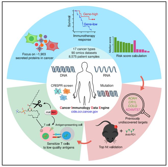 姜鹏关新元吴健生合作开发癌症免疫大数据引擎揭示基于分泌蛋白的新免疫疗法(图2)