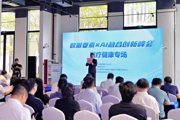 “数据要素×AI融合创新峰会”开幕首场聚焦医疗健康领域