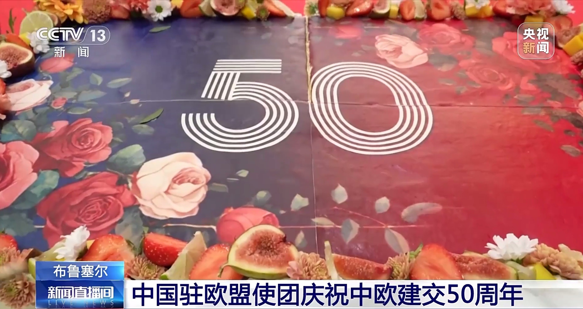 大国外交丨在关键十字路口中欧如何携手成就彼此、照亮世界？——专访中国政府欧洲事务特别代表卢沙野(图2)