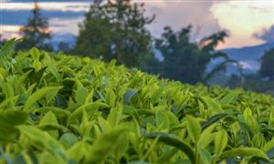 2022年医疗大数据行业发展前景及市场规模研究分析(图5)