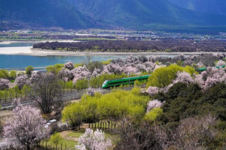 新华社刊文：确保基本实现社会主义现代化取得决定性进展(图3)