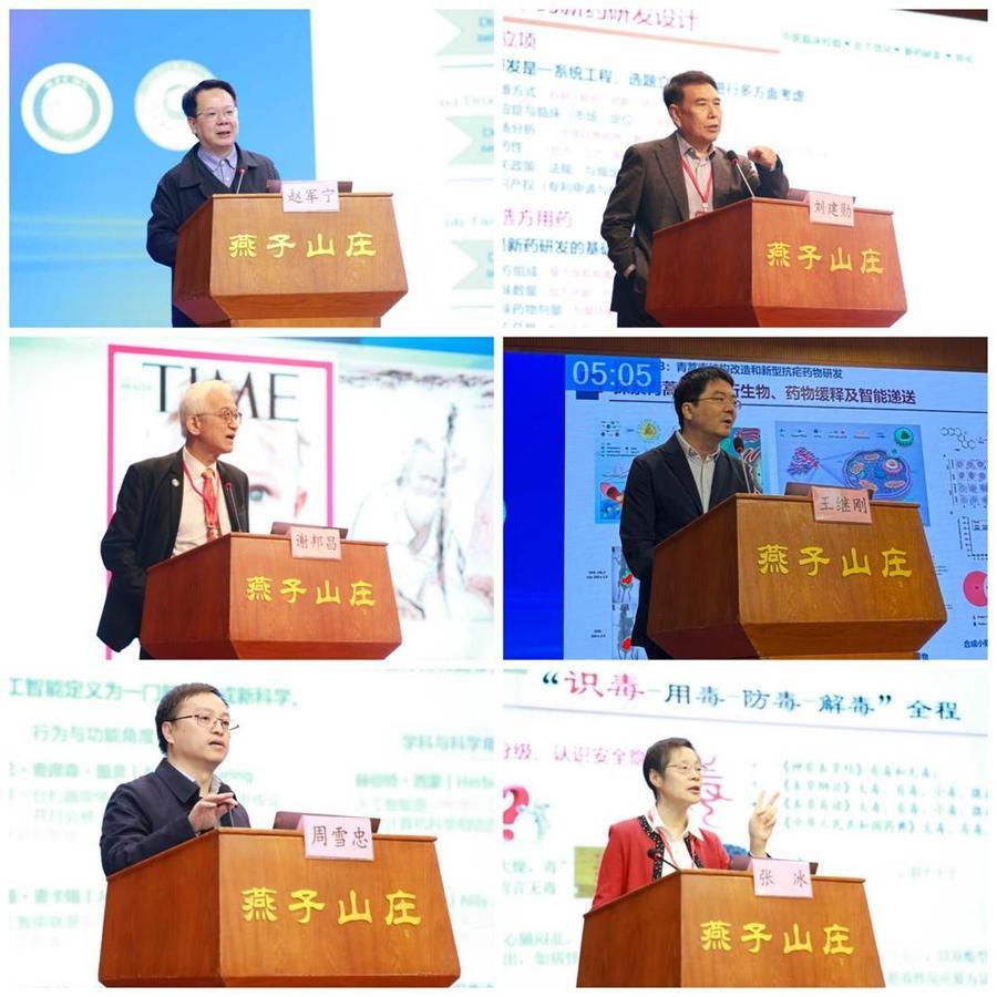 世界中联中药上市后研究与评价专委会“循证引领·AI赋能”召开(图3)