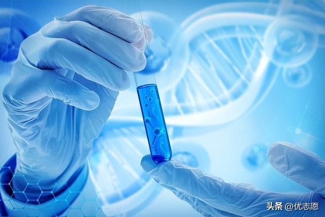 政策加码！人工智能+医疗4大黄金专业高中生踩中未来十年红利(图2)