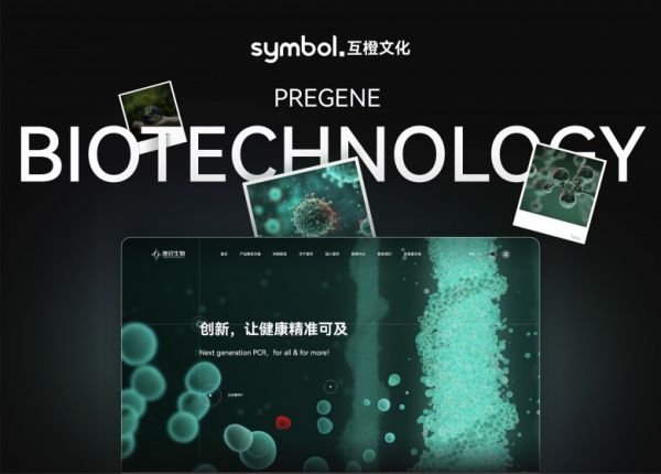 让你的网站平安落地！2025 年十大以交付质量著称的高端网站建设公司(图2)