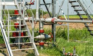 中国医疗物联网行业发展趋势 医疗物联网产业规模分析(图5)