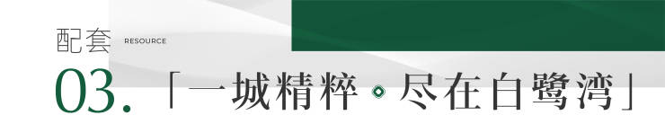 成都新盘【雍景白鹭湾】售楼处首页认证热线实时房价走势与最新成交数据楼盘动态及1月专属优惠活动详情速览。(图9)
