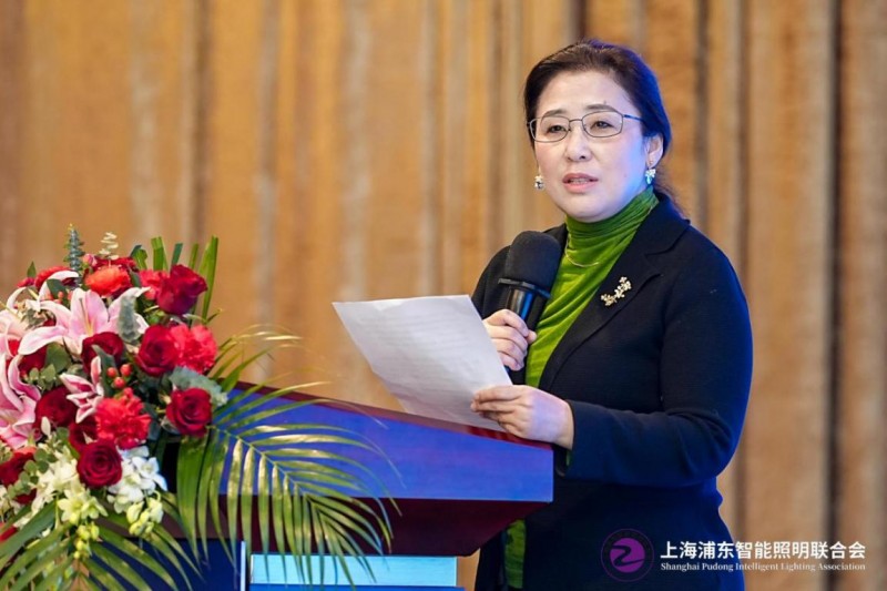 第九届物联网照明大会暨“智光杯”优秀会员典礼成功举办(图10)