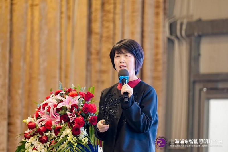 第九届物联网照明大会暨“智光杯”优秀会员典礼成功举办(图20)