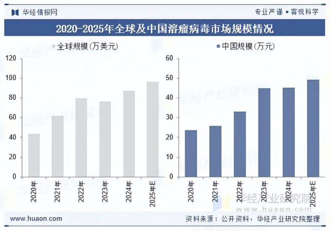 2025年全球及中国黑色素瘤治疗行业现状及展望（附发展背景、市场规模及重点企业）「图」(图2)