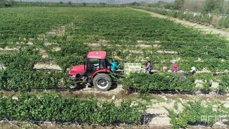 行稳致远开新局 先行区里看跃升塞上江南何以跑出全国第5增速？(图3)