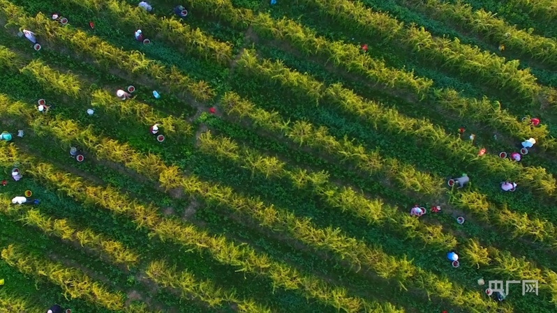 行稳致远开新局 先行区里看跃升塞上江南何以跑出全国第5增速？(图7)