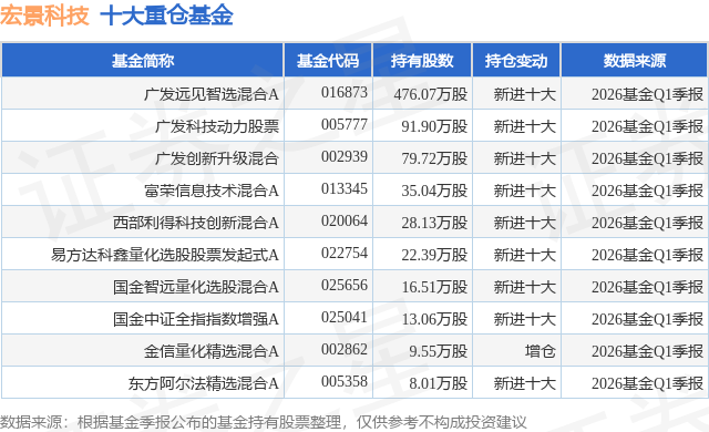 5月20日宏景科技涨618%广发远见智选混合A基金重仓该股
