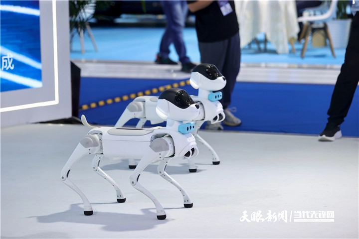 2026数博会｜从展会到生活大数据和你我他有什么关系(图6)